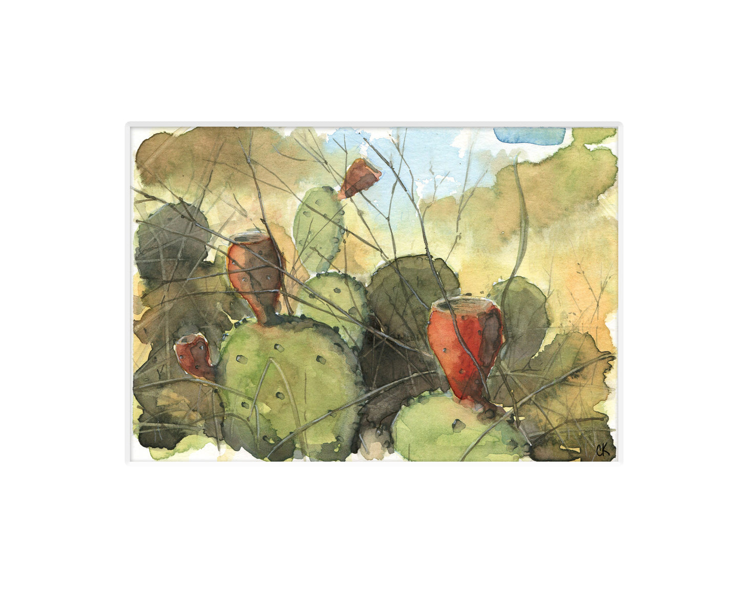 Original 5x7 plein air watercolor "Prickly Pear"